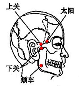 客主人 位置|客主人穴－上关穴－颈部穴位图解－flash版